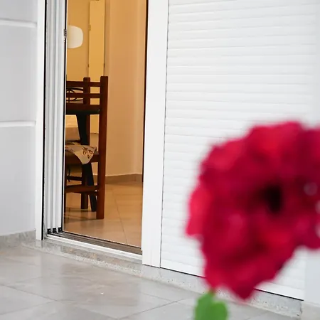 Aria Pura Guest house